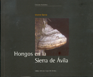 Hongos en la Sierra de Ávila