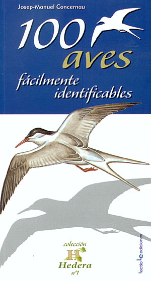 100 aves fácilmente identificables