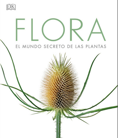 Flora 