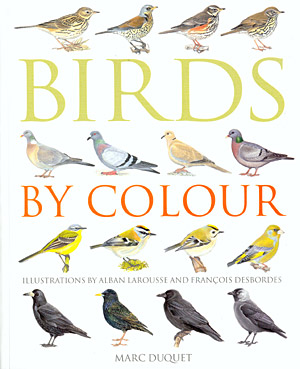 Birds by colour