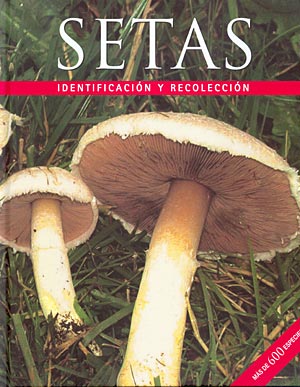 Setas. Identificación y recolección