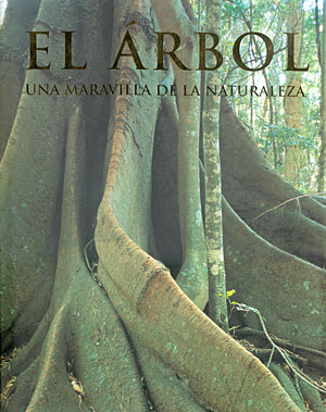 El árbol, una maravilla de la naturaleza