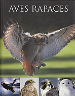 Aves rapaces