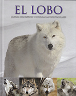 El lobo. Escenas fascinantes y fotografías espectaculares