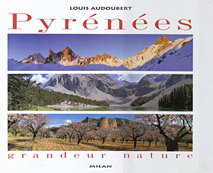 Pyrénées grandeur nature