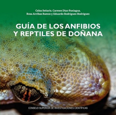 Guía de los anfibios y reptiles de Doñana