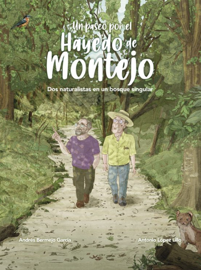 Un pàseo por el Hayedo de Montejo