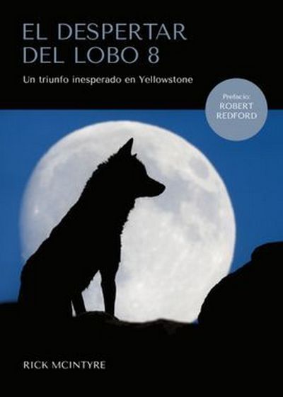 El despertar del lobo 8