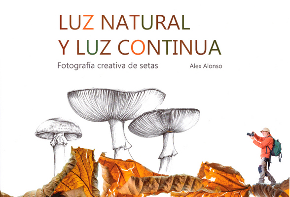 Luz natural y luz continua. Fotografía creativa de setas