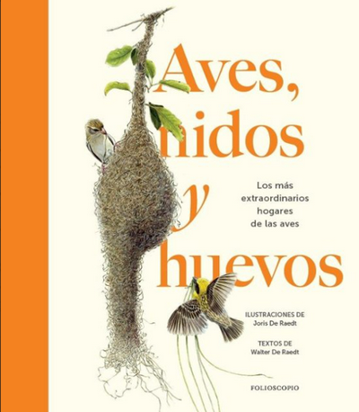 Aves, nidos y huevos