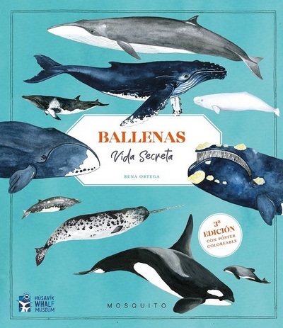 Ballenas