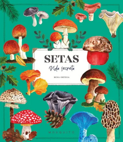 Setas