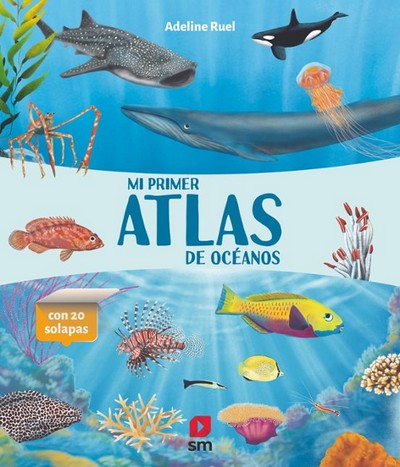 Mi primer atlas de oceanos