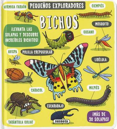Pequeños exploradores: bichos