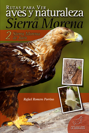 Rutas para ver aves y naturaleza en Sierra Morena 2