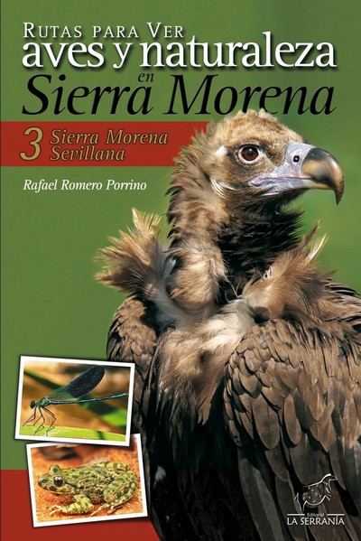 3. Rutas para ver aves y naturaleza en Sierra Morena. Sierra Morena Sevillana