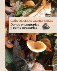 Guía de setas comestibles. Dónde encontrarlas y cómo cocinarlas