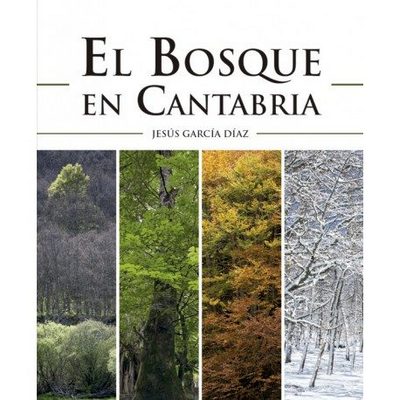 El bosque en Cantabria