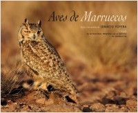 Aves de Marruecos