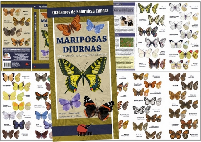 Mariposas diurnas. Introducción a las especies ibéricas