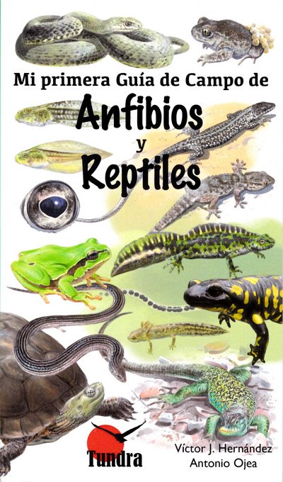 Mi primer guía de campo de Anfibios y Reptiles