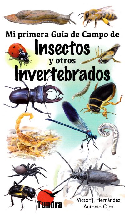 Mi primera guía de campo de insectos y otros invertebrados