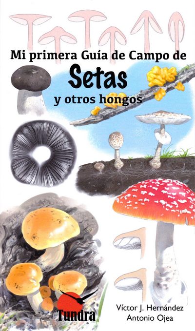 Mi primera Guía de Campo de Setas y otros Hongos