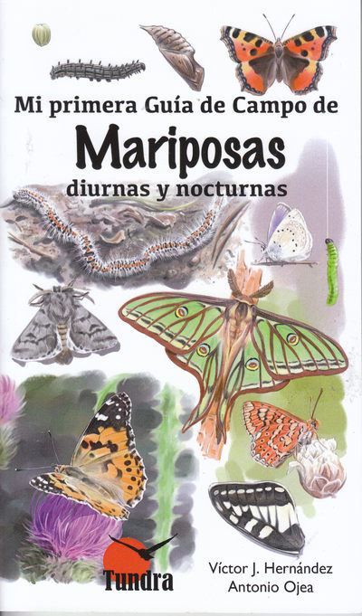 Mi primera guía de campo de mariposas diurnas y nocturnas 