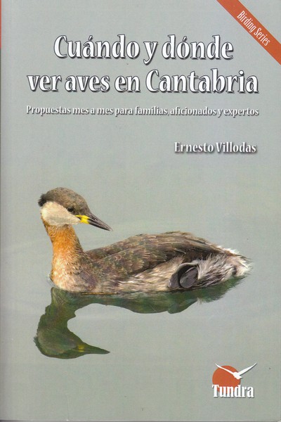 Cuándo y dónde ver aves en Cantabria