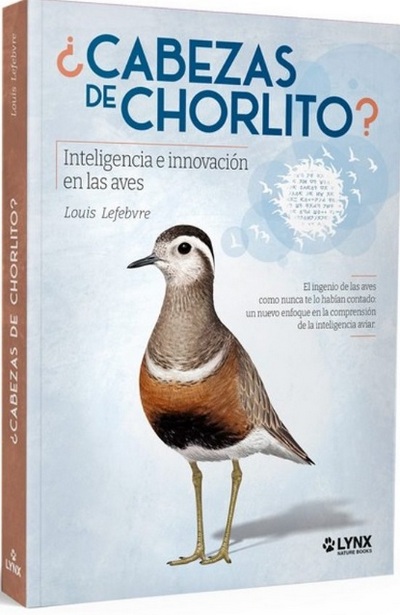 ¿Cabezas de chorlito?