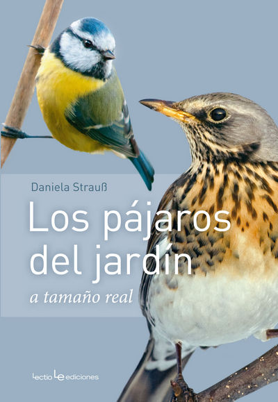 Los pájaros del jardín a tamaño real