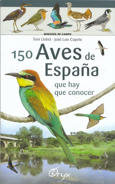 150 aves de España que hay que conocer