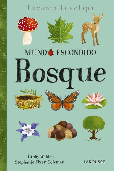 Mundo escondido bosque