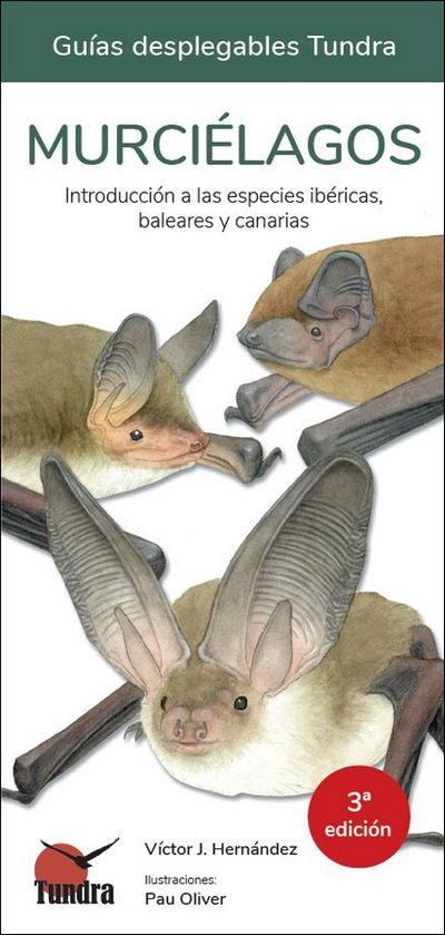 Murciélagos . Introducción a las especies ibéricas, baleares y canarias