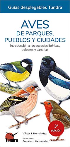 Aves de parques, pueblos y ciudades