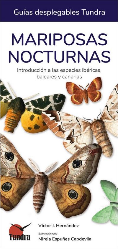 Mariposas nocturnas. Introducción a las especies ibéricas, baleares y canarias