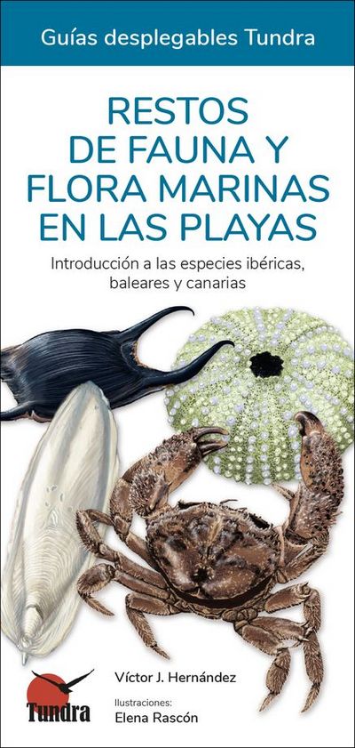 Restos de fauna y flora marinas en las playas. Introducción a las especies ibéricas, baleares y canarias