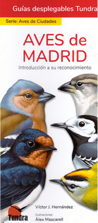 Aves de Madrid. Introducción a su reconocimiento