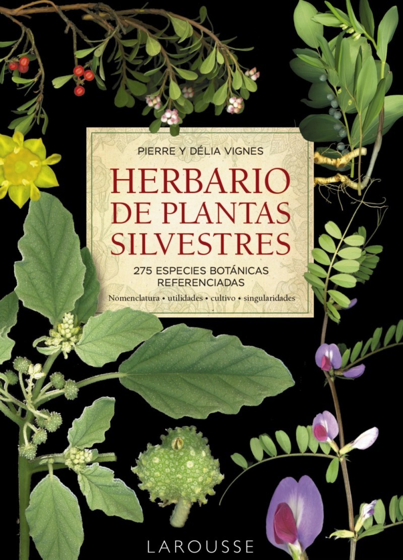 Herbario de plantas silvestres