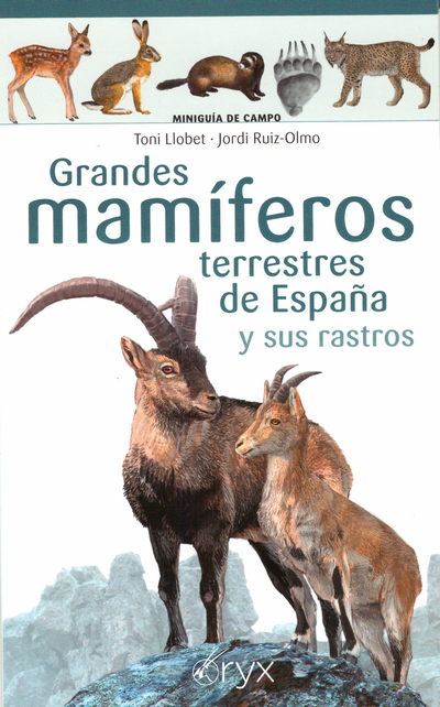 Grandes mamíferos terrestres de España y sus rastros. Miniguía de campo