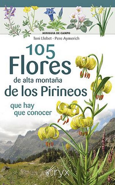 105 flores de alta montaña de los Pirineos que hay que conocer