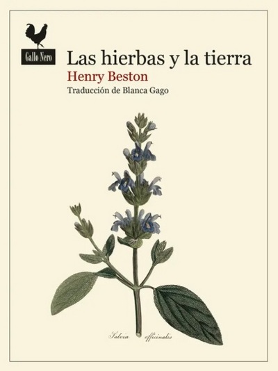 Las hierbas y la tierra
