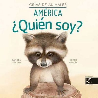 AMÉRICA ¿QUIÉN SOY?