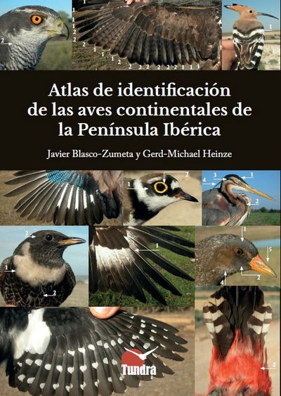 Atlas de identificación de las aves continentales de la Península Ibérica