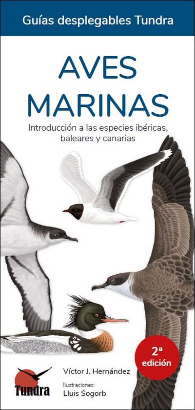 Aves Marinas