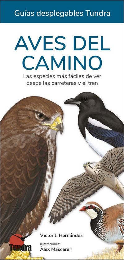 Aves del camino. Las especies más fáciles de ver desde las carreteras y el tren