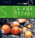 ¡A por setas!. Busca, encuentra y degusta