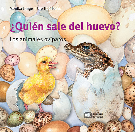 ¿Quién sale del huevo?