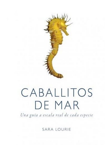 Caballitos de mar . Una guía a escala real de cada especie 