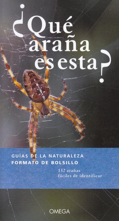 ¿Qué araña es esta?